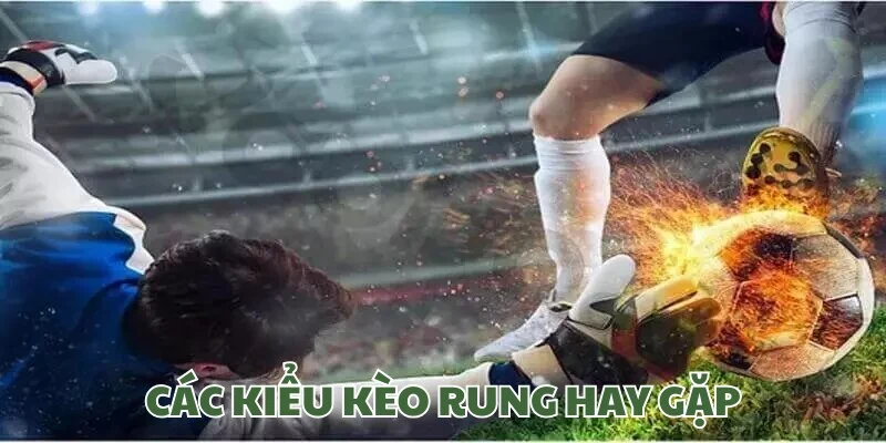 Các cửa cược hay gặp