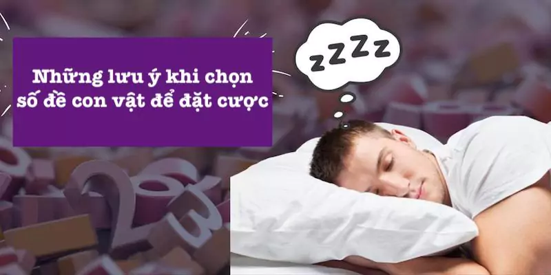 Lưu ý khi giải mã giấc mơ con vật số đề