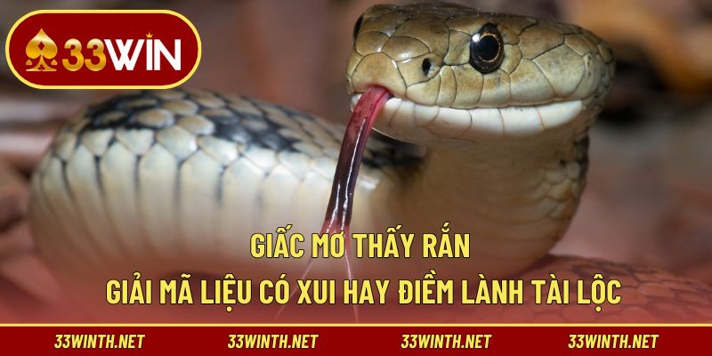 Giấc mơ thấy rắn